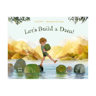 Lets Build a Dam! - by Daniel Fehr (Hardcover)