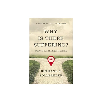 Why Is There Suffering? - by Bethany N Sollereder (Paperback)