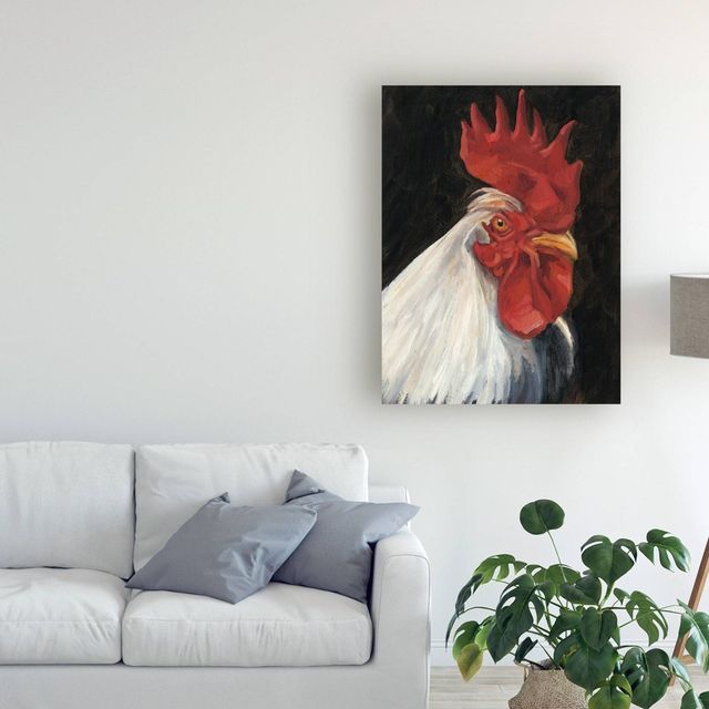 Trademark Fine Art 14 x 19 Rooster Portrait I by Ethan Harper : Canvas Art, Animal Digital Wall Canvas