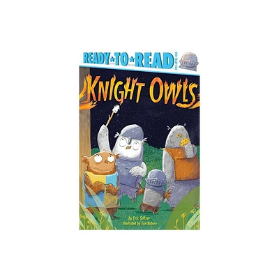 Knight Owls - (Ready-To-Read) by Eric Seltzer (Paperback)