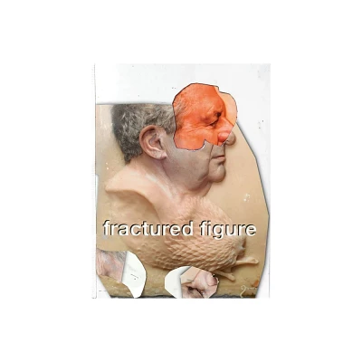 Fractured Figure, Volume I - (Paperback)