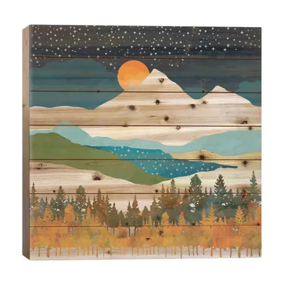 iCanvas 26 x 26 Winters Night Wood Print by SpaceFrog Designs : UV-Cured, Pinewood Wall Art