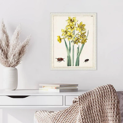 Amanti Art Dutch Florals III Framed Canvas Wall Art Print