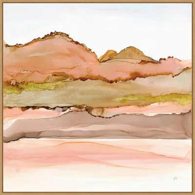 Amanti Art 30x30 Desert Scape IV by Chris Paschke Framed Wall Art Print: Modern Home Decor Wall Canvases