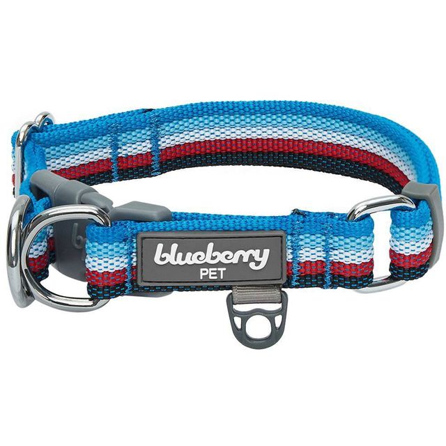 Blueberry Pet Stripe Adjustable Dog Collar - XL