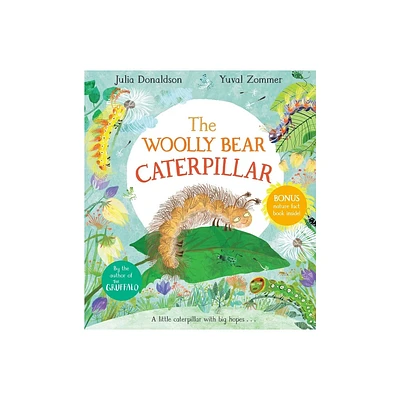 The Woolly Bear Caterpillar - by Julia Donaldson (Hardcover)