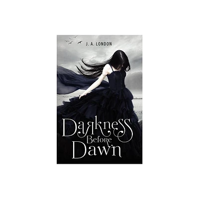 Darkness Before Dawn - by J A London (Paperback)