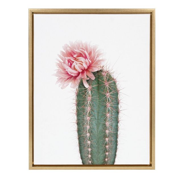 Sylvie Pink Cactus Flower Framed Canvas by Amy Peterson Gold