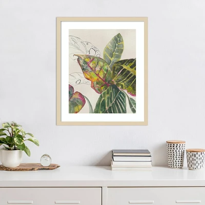 Amanti Art Croton Plants by Jacob Q Wood Framed Wall Art Print