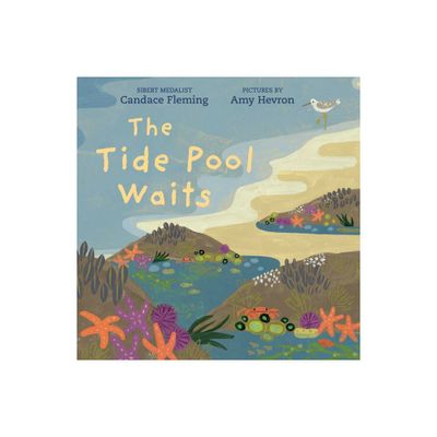 The Tide Pool Waits - by Candace Fleming (Hardcover)