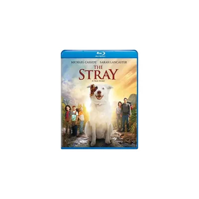 The Stray (Blu-ray)