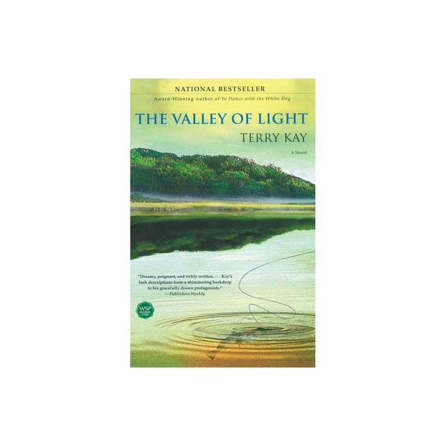 The Valley of Light - by Terry Kay (Paperback)