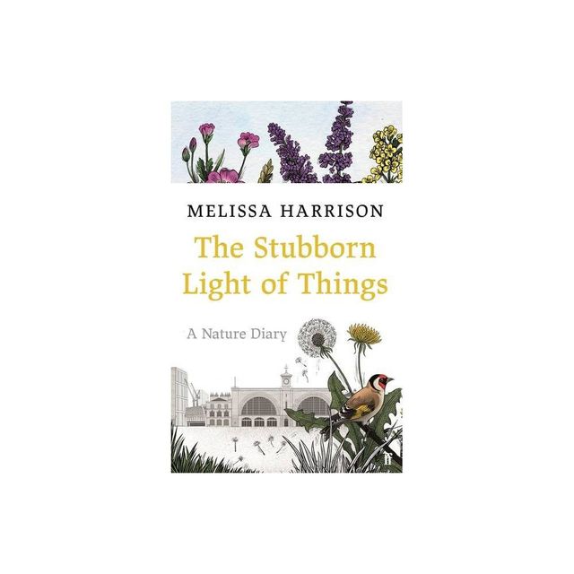 The Stubborn Light of Things - by Melissa Harrison (Hardcover)