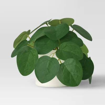 Artificial Small Trailing Leaf Plant Light - Threshold: Faux Peperomia in Stoneware Pot, Indoor Decorative Accessory