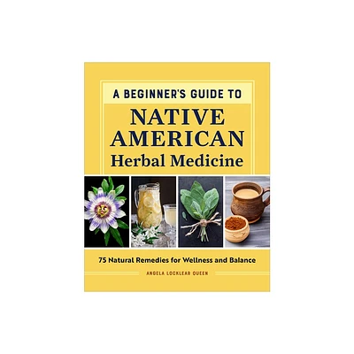 A Beginners Guide to Native American Herbal Medicine - by Angela Locklear Queen (Paperback)