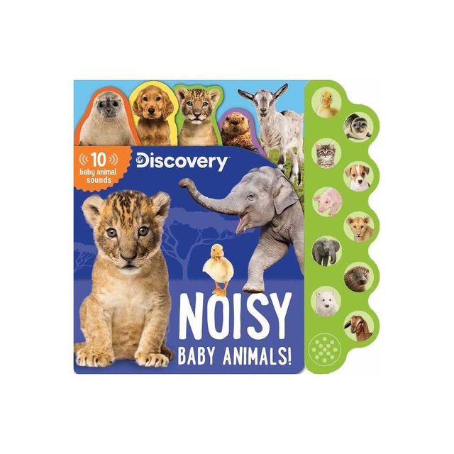 Discovery: Noisy Baby Animals! - (10-Button Sound Books) by Thea Feldman (Board Book)