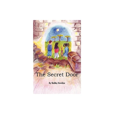 The Secret Door - by Shelley Davidow (Paperback)