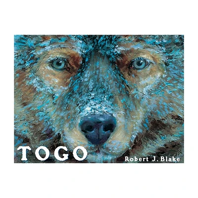 Togo - by Robert J Blake (Hardcover)