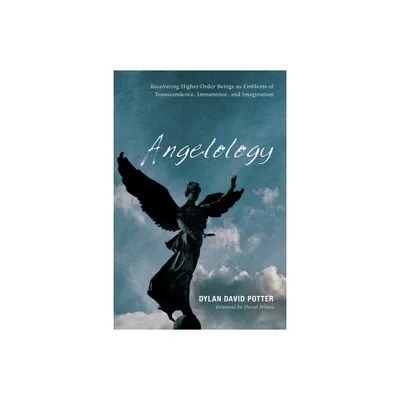 Angelology - by Dylan Potter (Paperback)