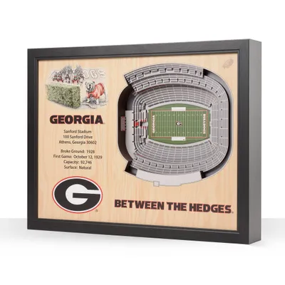 NCAA Georgia Bulldogs 25-Layer StadiumViews 3D Wall Art