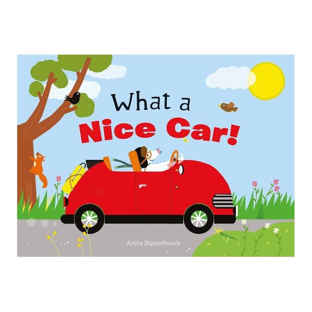 What a Nice Car! - by Anita Bijsterbosch (Hardcover)