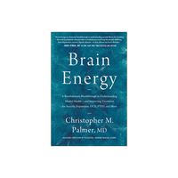 Brain Energy - by Christopher M Palmer (Hardcover)