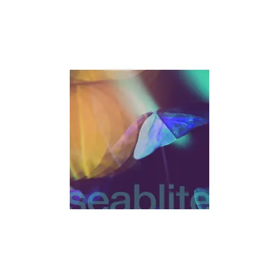 Seablite - Breadcrumbs (vinyl 7 inch single)