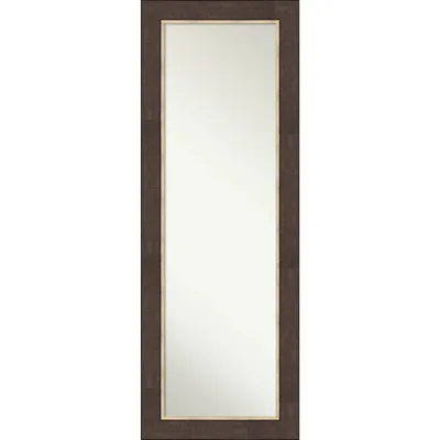 19 x 53 Non-Beveled Lined Bronze Full Length on The Door Mirror - Amanti Art