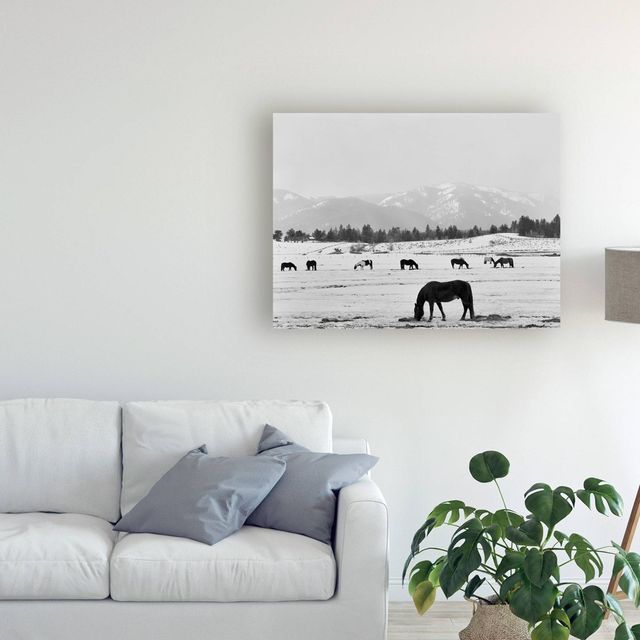 35x47 Black Horse In Winters Mountains Wyoming by Monte Nagler: Unframed Canvas Wall Art - Trademark Fine Art