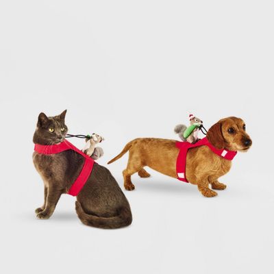 Santa Squirrel Rider Dog and Cat Costume -  - Wondershop