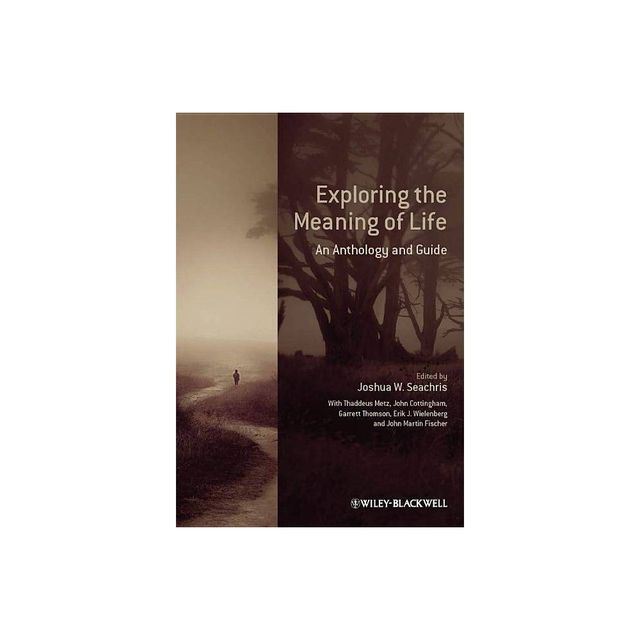 Exploring the Meaning of Life - by Joshua W Seachris (Paperback)