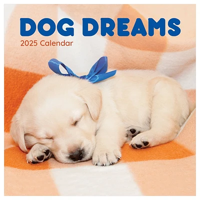 TF Publishing 2025 Wall Calendar 12x12 Dog Dreams