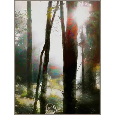 32 x 42 Dare to Believe by Helen White: Amanti Art Canvas, Modern Forest Scene