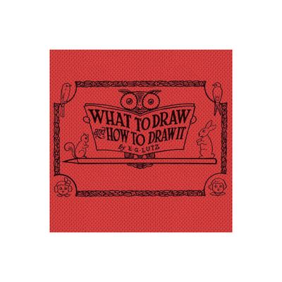 What to draw and how to draw it - by E G Lutz (Paperback)