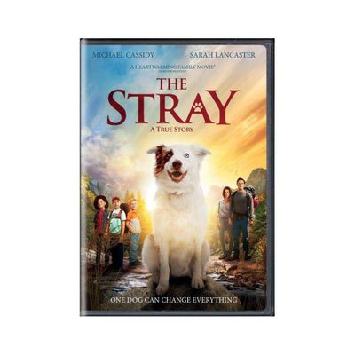 The Stray (DVD)