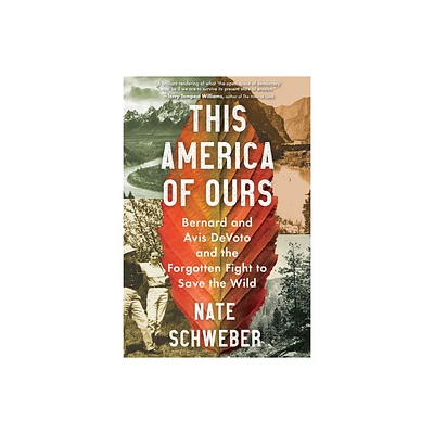 This America of Ours - by Nate Schweber (Paperback)