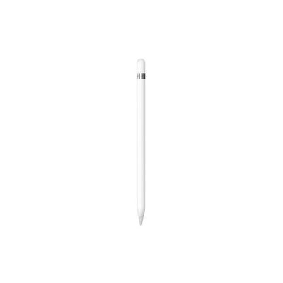 Apple Pencil with USB-C Adapter (2022, 1st Generation)