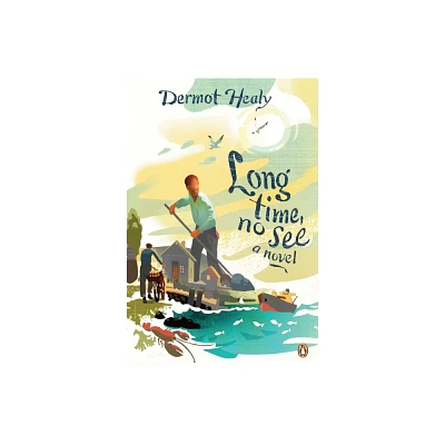 Long Time, No See - by Dermot Healy (Paperback)