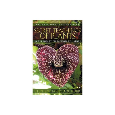 The Secret Teachings of Plants - by Stephen Harrod Buhner (Paperback)