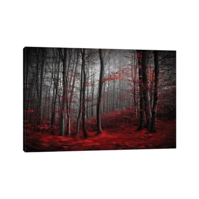 iCanvas Bloody River by Samanta Krivec Unframed Wall Canvas : Modern Gicle, Fade-Resistant