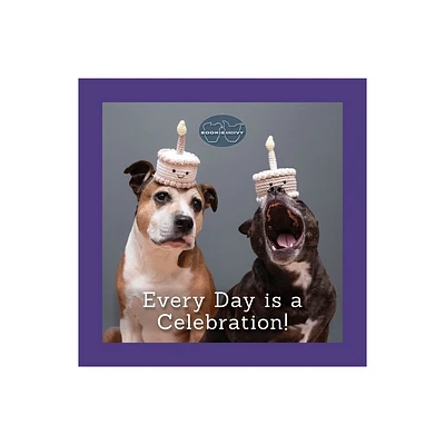 Sookie and Ivy Every Day Is a Celebration! - by Jani Oja (Hardcover)