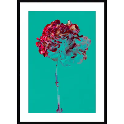 30 x 41 Hydrangea Blossom by Teis Albers Wood Framed Wall Art Print - Amanti Art: Contemporary Botanical Decor