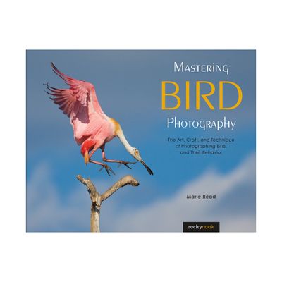 Mastering Bird Photography - by Marie Read (Paperback)