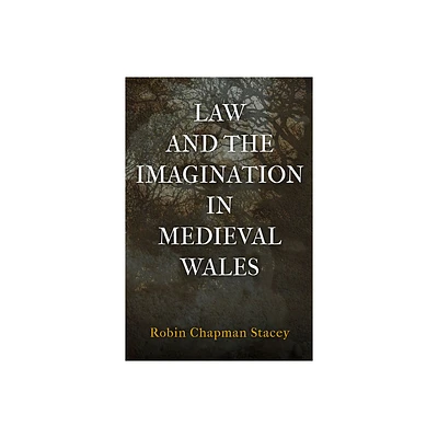 Law and the Imagination in Medieval Wales - (Middle Ages) by Robin Chapman Stacey (Hardcover)