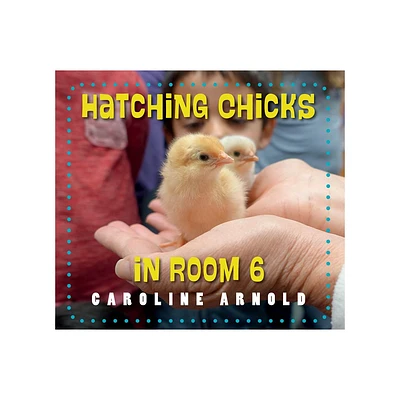 Hatching Chicks in Room 6 - (Life Cycles in Room 6) by Caroline Arnold (Paperback)