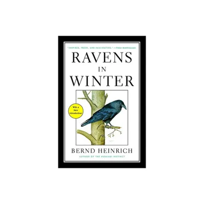 Ravens in Winter - by Bernd Heinrich (Paperback)