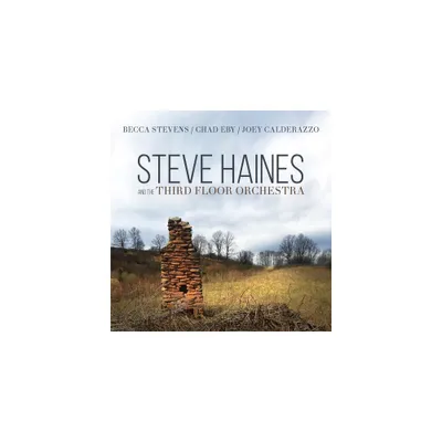 Steve Haines - Steve Haines And The Third Floor Orchestra (CD)