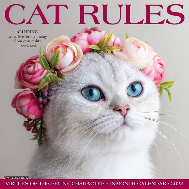 Tf Publishing 2023 Wall Calendar Space Cats - TF Publishing | Connecticut  Post Mall