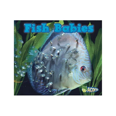 Fish Babies - (Animal Babies) by Catherine Veitch (Paperback)