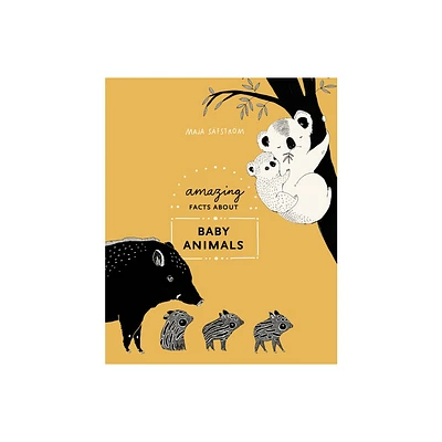 Amazing Facts about Baby Animals - by Maja Sfstrm (Hardcover)